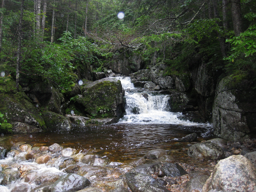 Basin Trail Cascades NH