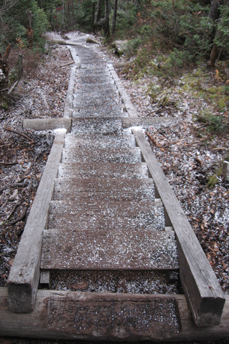 wooden stairs on the Osseo Trail, Mount Flume, NH
