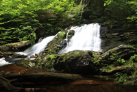 Arethusa Falls - New Hampshire