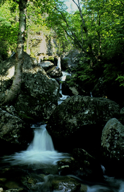 Falls on the Howker Ridge Trail