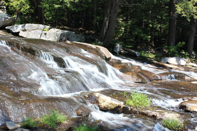 Glendale Falls