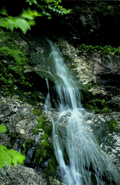 Mad River Falls