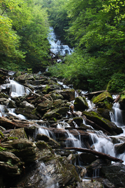 Money Brook Falls