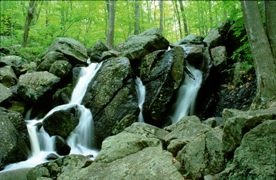 Negro Hill Brook Falls