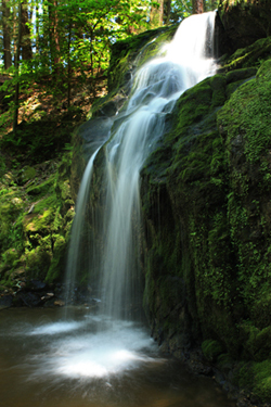Nonnewaug Falls