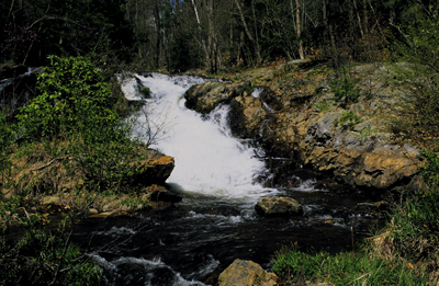 Pauchaug Brook Falls