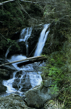 Sanderson Brook Falls