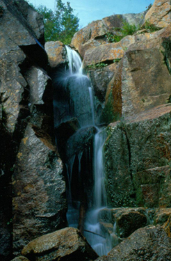 Zealand Falls