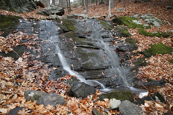 Cedar Mill Brook Falls, Connecticut