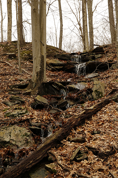 Falls Along The Indian Rock Shelters Trail, Connecticut