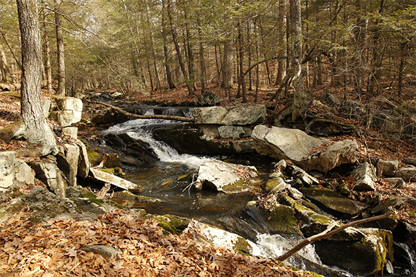 Jim Brook Falls, Connecticut