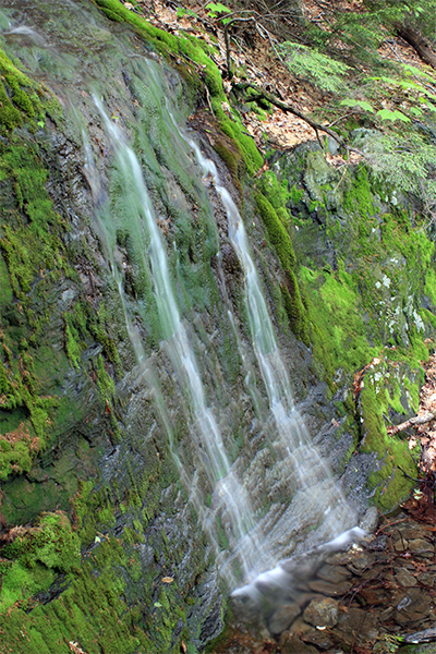 Falls On The Overbrook Trail, Massachusetts