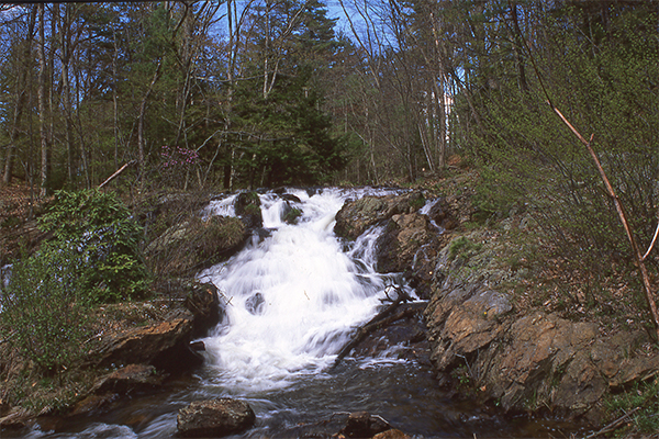 Pauchaug Brook Falls, Massachusetts
