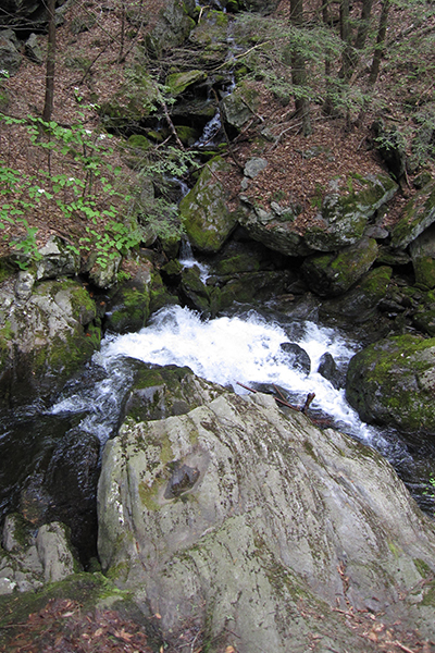 Sages Ravine-Upper Falls, Massachusetts