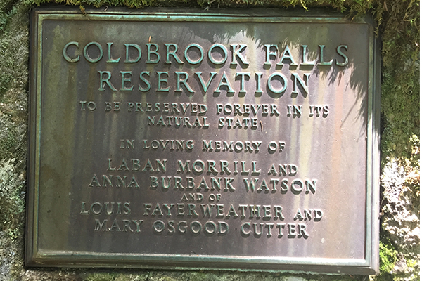 Cold Brook Falls