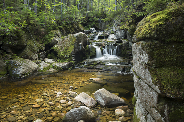 Basin Trail Cascades, New Hampshire
