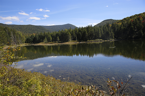 Ammonoosuc Lake, New Hampshire