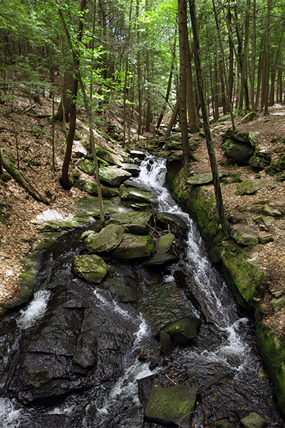 Chesterfield Gorge, New Hampshire