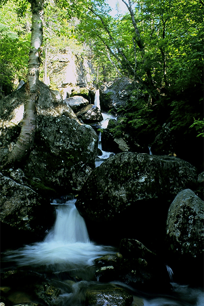 Hitchcock Falls, Howker Ridge Trail, New Hampshire
