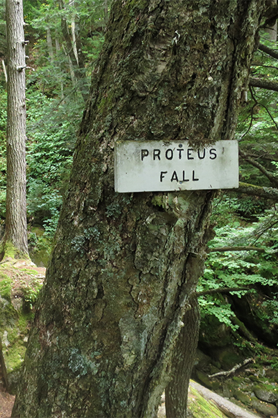 sign for Proteus Fall, New Hampshire