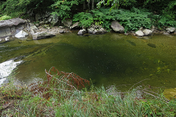 another pool found a short distance above Circle Current, Vermont