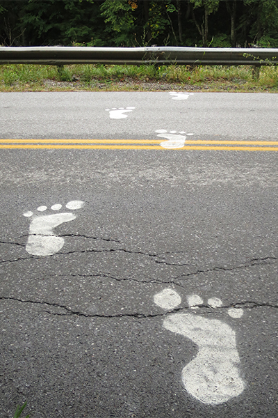 curious footsteps leading across the road to Circle Current, Vermont