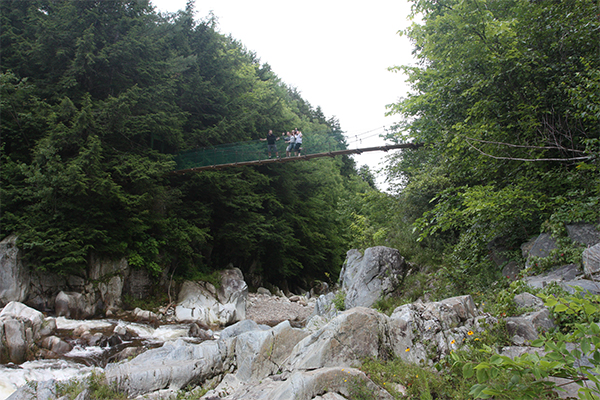 the swinging bridge above Clarendon Gorge-Upper Falls, Vermont 