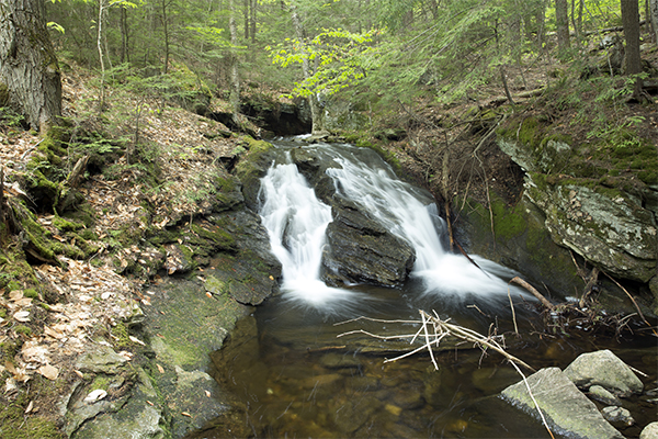 Tiny Brook Cascades, Vermont