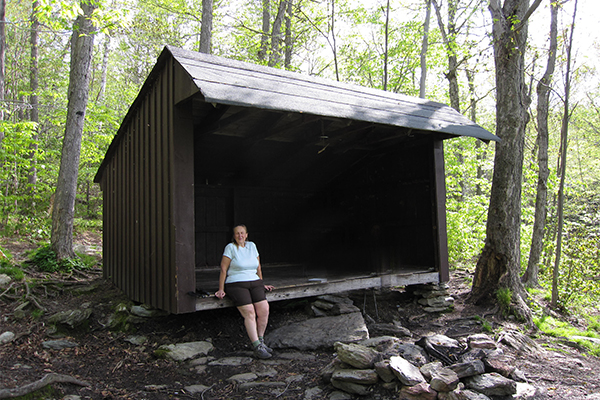 shelter near Falls on Pecks Brook, Massachusetts