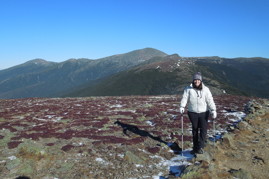 Mount Eisenhower, New Hampshire