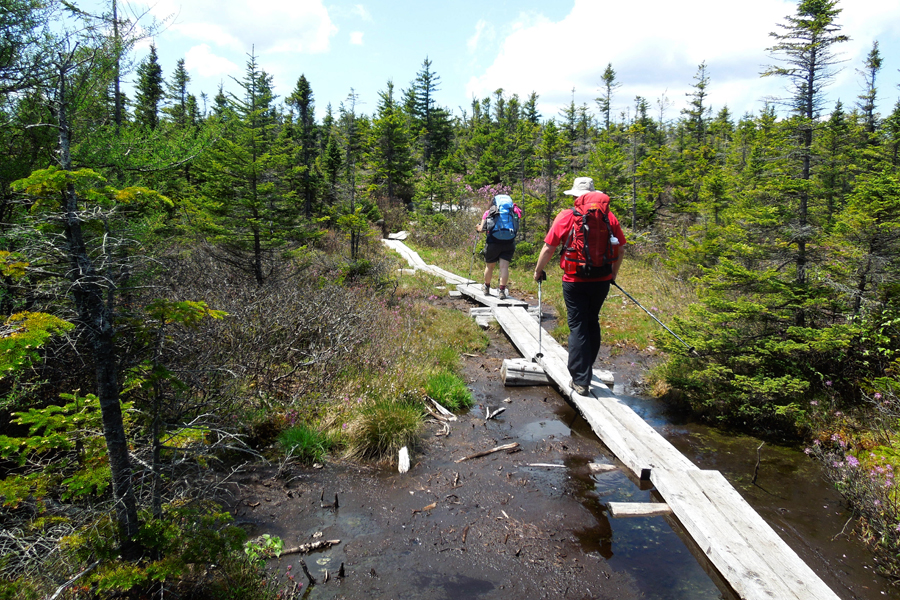 Mount Zealand, New Hampshire