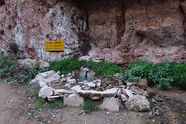 Fern Spring, Havasupai