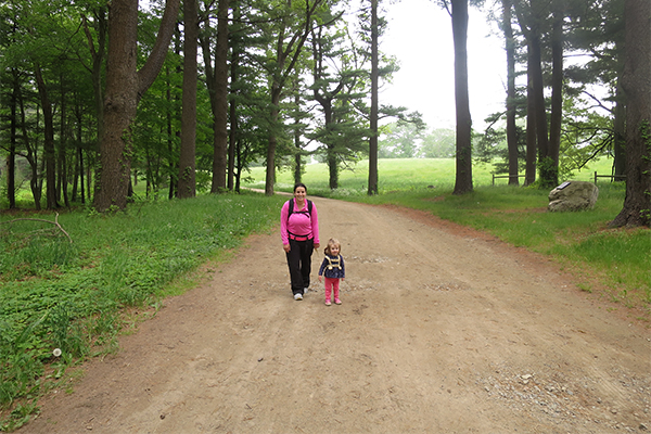 Appleton Farms, Hamilton