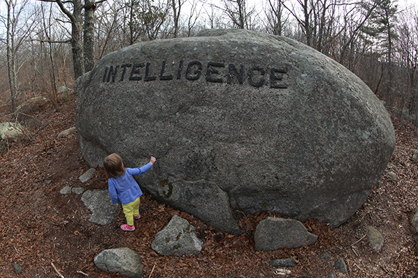 Babson Boulders, Dogtown, Gloucester