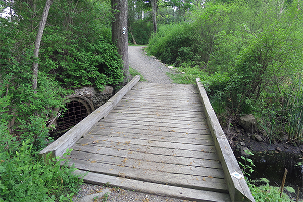 walking the Bay Circuit Trail in Hamilton