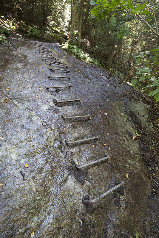 metal rungs on the Lambert Ridge Trail, Smarts Mountain
