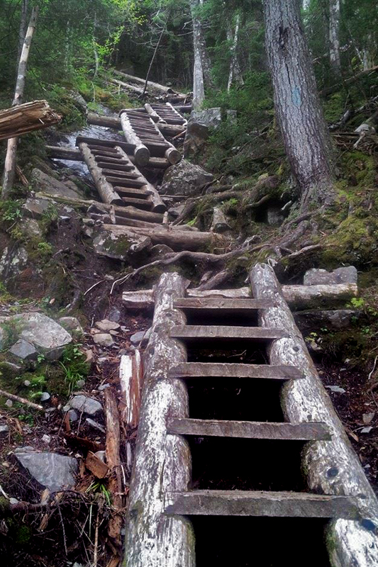 ladders on the Willey Range Trail, Mt. Willey, NH