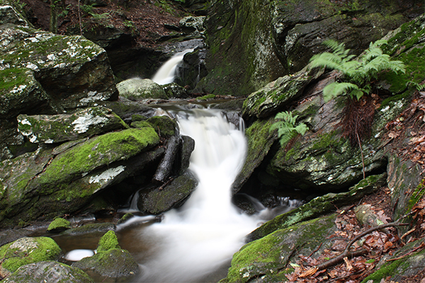 Bailey's Ravine, Connecticut