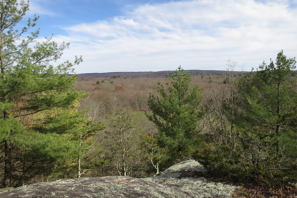 Bailey's Ravine, Connecticut