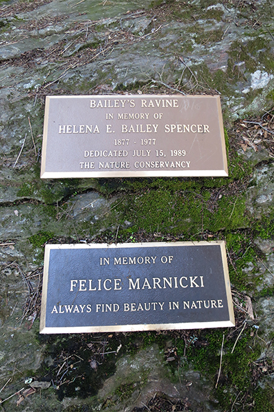 Bailey's Ravine, Connecticut