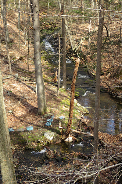 Cascades At Chapman Pond Preserve, Connecticut