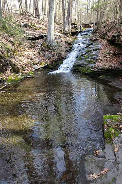 Cascades At Chapman Pond Preserve, Connecticut