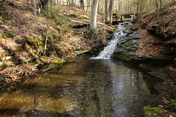 Cascades At Chapman Pond Preserve, Connecticut