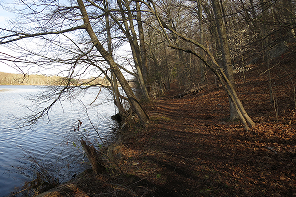 Cascades At Chapman Pond Preserve, Connecticut