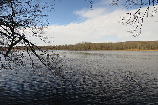 Cascades At Chapman Pond Preserve, Connecticut