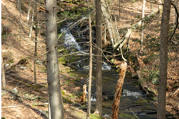 Cascades At Chapman Pond Preserve, Connecticut