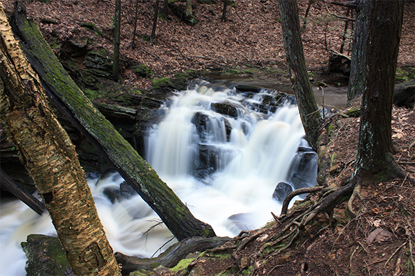 Codfish Falls, Connecticut