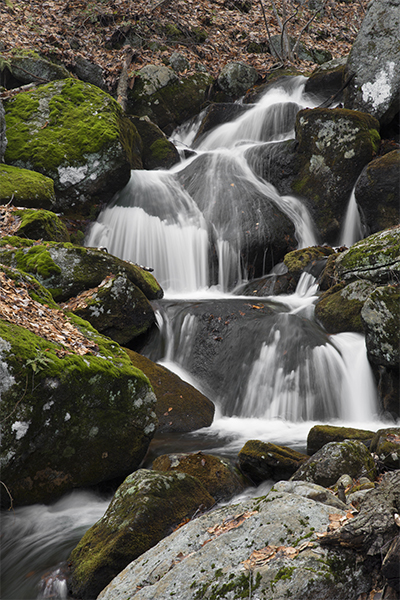 Cussgutter Brook Cascades, Connecticut