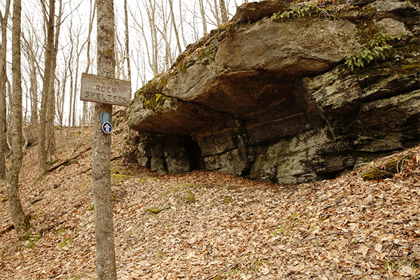 Falls Along The Indian Rock Shelters Trail, Connecticut