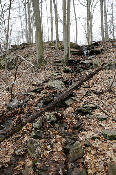 Falls Along The Indian Rock Shelters Trail, Connecticut